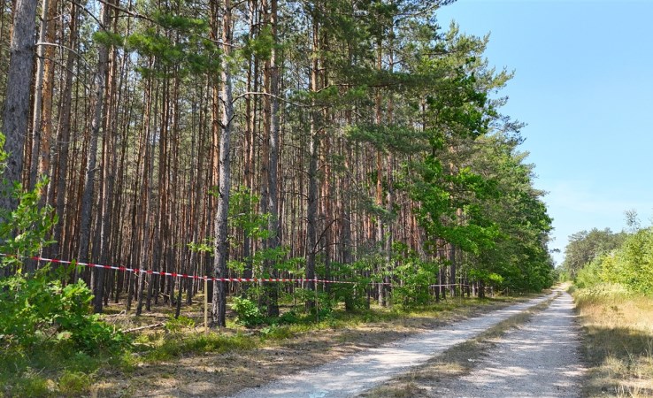 działka na sprzedaż - Warta, Miedźno