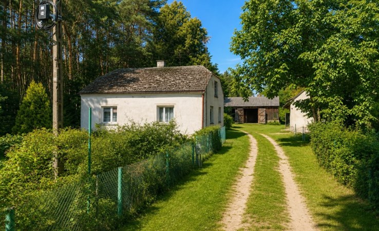 dom na sprzedaż - Burzenin, Świerki